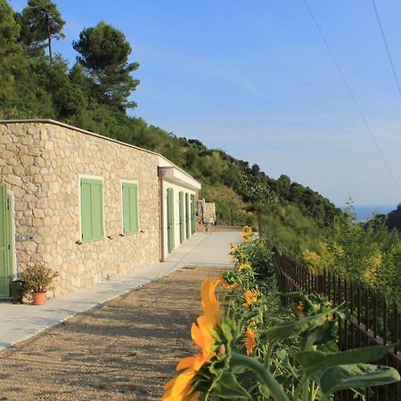 벤티밀리아 Il Casotto Del Nonno 아파트 외부 사진